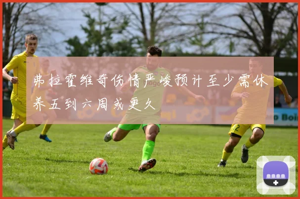 弗拉霍维奇伤情严峻预计至少需休养五到六周或更久