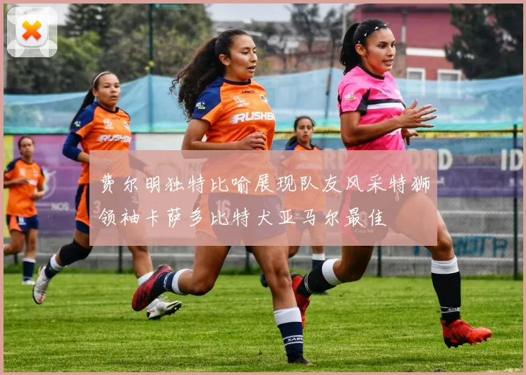 费尔明独特比喻展现队友风采特狮领袖卡萨多比特犬亚马尔最佳