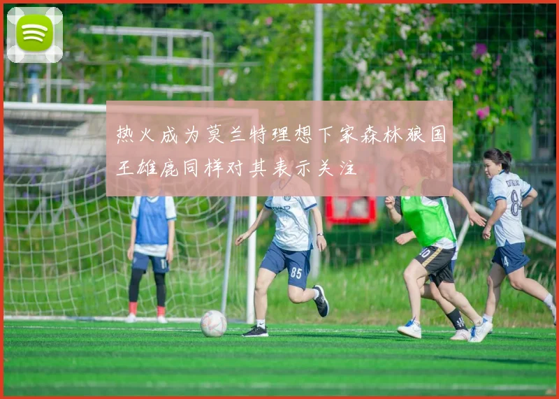 热火成为莫兰特理想下家森林狼国王雄鹿同样对其表示关注